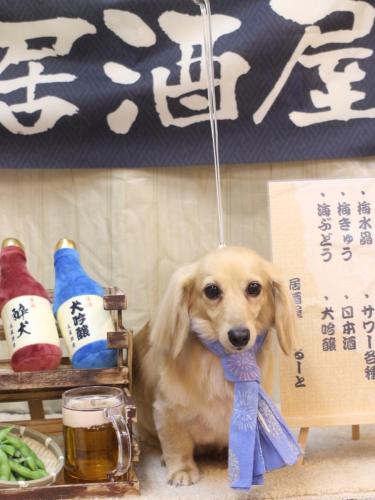 20240618こはるちゃん